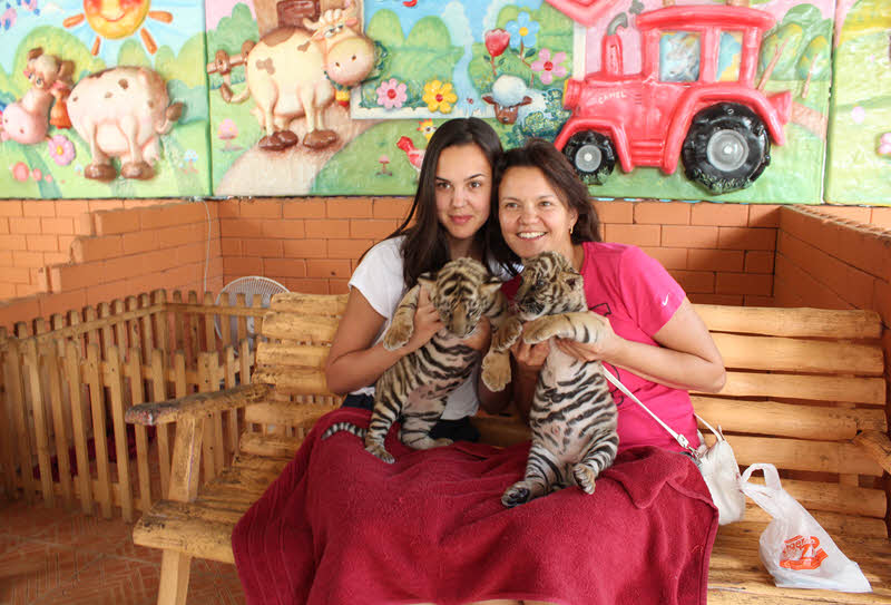 Экскурсия «Дискавери тур 7 в 1» из Паттайи 1