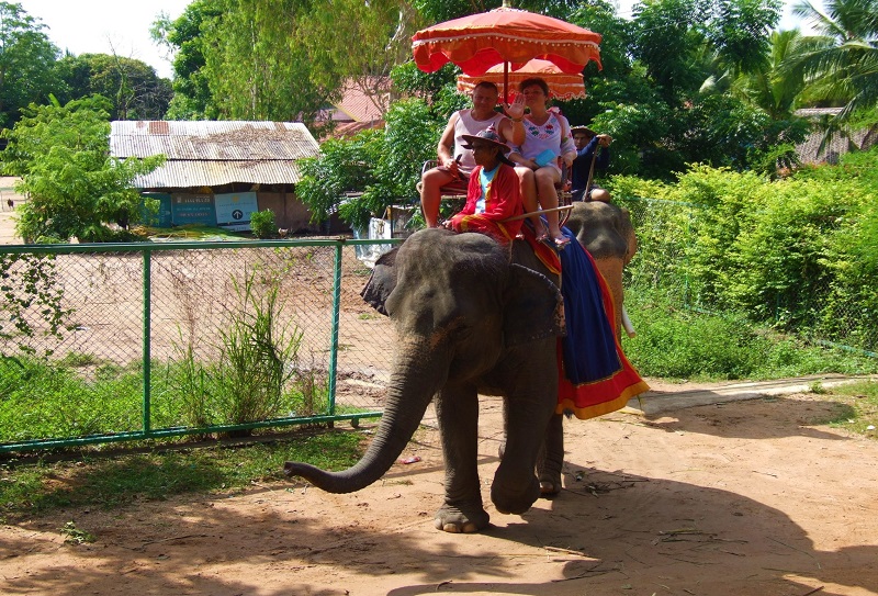 Экскурсия «Семейный тур» или «Фэмили зоо тур» в Паттайе 1