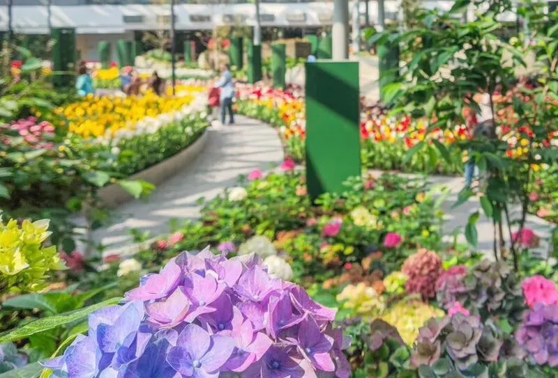 Экскурсия «Золотой мангровый лес» в Паттайе 1