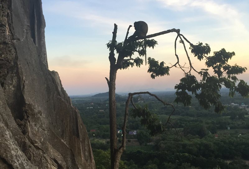 2-дневная экскурсия «Экспедиция» из Паттайи 8