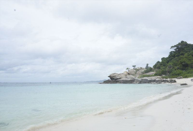 Медузы в Паттайе