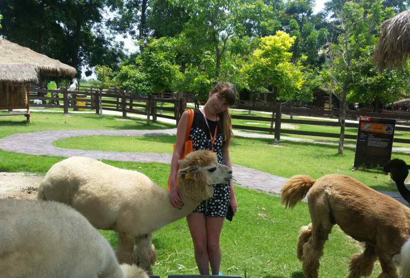 Где пообщаться с животными в Паттайе