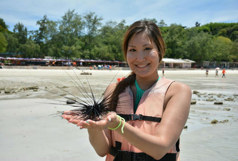 Что продается на пляжах?