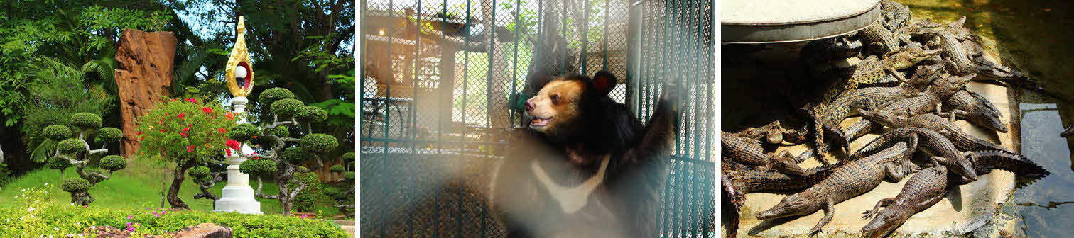 Экскурсия на Крокодиловую ферму и сад миллионолетних камней Экскурсия на Крокодиловую ферму и сад миллионолетних камней