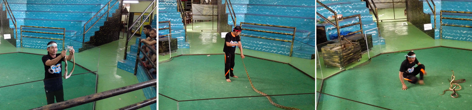 Змеиная ферма в Паттайе Змеиная ферма в Паттайе