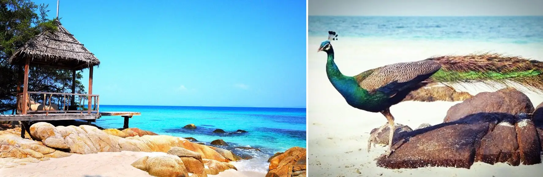 Экскурсия «Тайские Мальдивы» из Паттайи